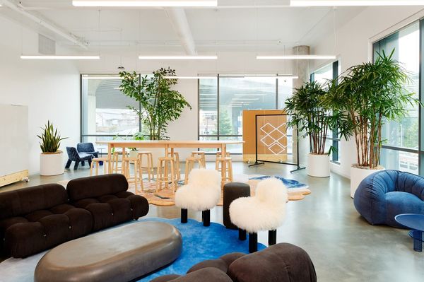 A bright, colorful office with a long meeting table, multiple couches, and a few different plants.