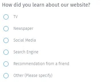 example ecommerce website survey question 