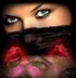 Аватар пользователя Olesya_km Аватар пользователя Olesya_km