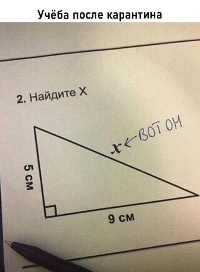 Юмор в открытках 2 120748057_2006472496154851_7013436691742433809_n