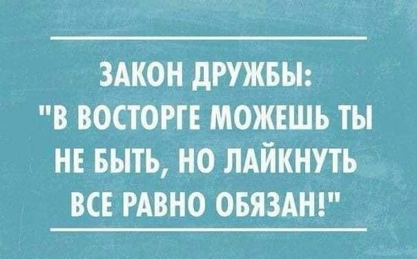 Юмор в открытках 2 123879907_2837396473205942_9147000072726314577_n