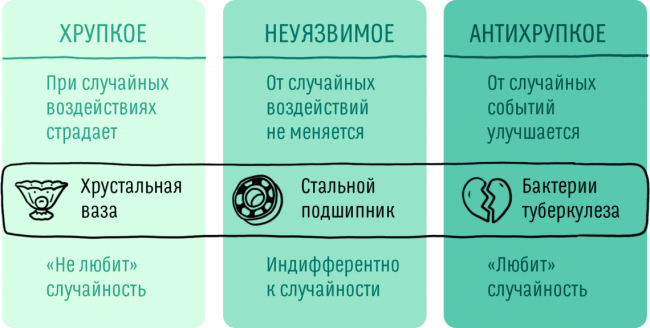 3 виде система