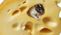 ПРОИЗВОДИТЕ ВКУСНО И ВЫГОДНО: правильный персонал по правильной цене.